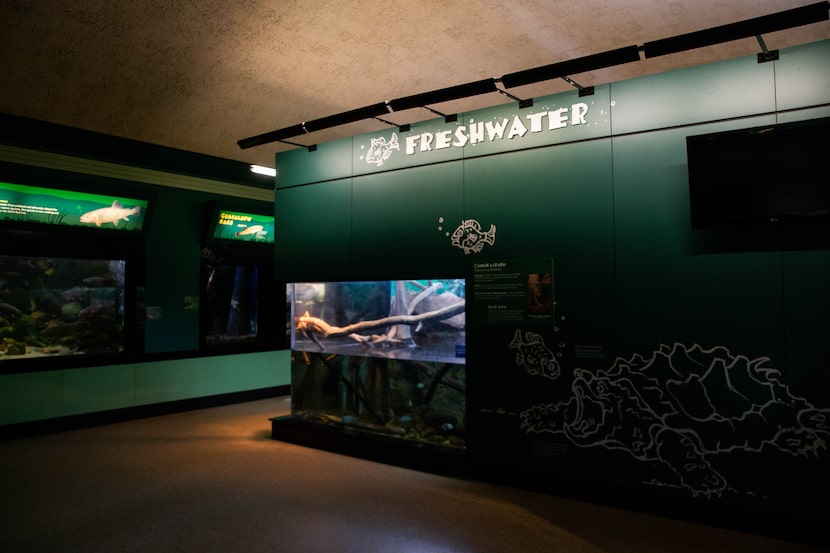 Even though the Children’s Aquarium at Fair Park has been closed to visitors since March due...