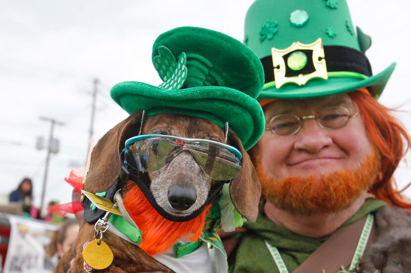 Robert Ankrum Dixicupcup got in the spirit during the 2015 St. Patrick's Day parade in Dallas