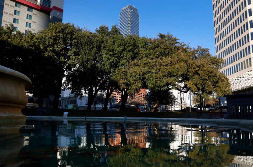 The live oaks in Ferris Plaza are seen reflected in the park's fountain in downtown Dallas...