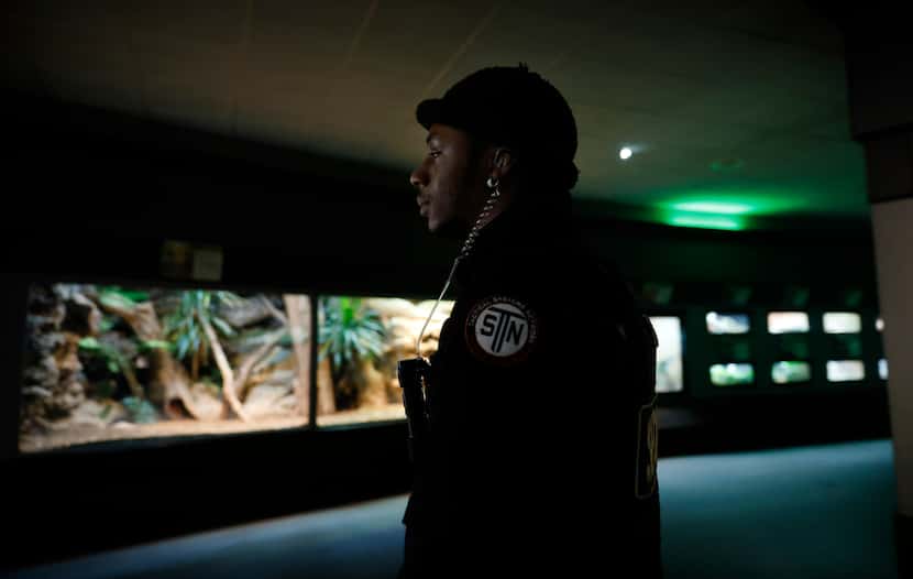 Security officer Darius Walker patrols the herpetarium of the Dallas Zoo in Dallas, January...