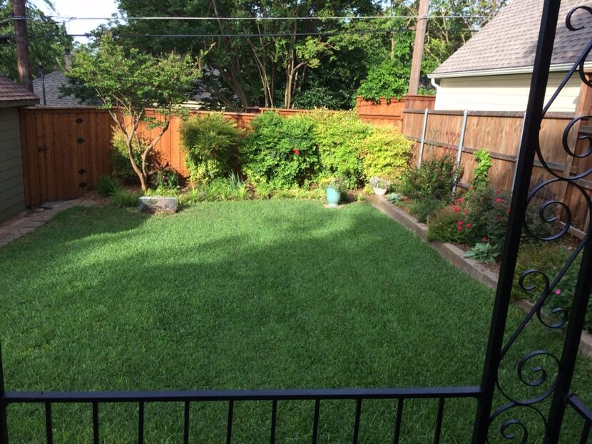  The tiny Grigsby backyard. Now the Hollywood Heights raccoon latrine.