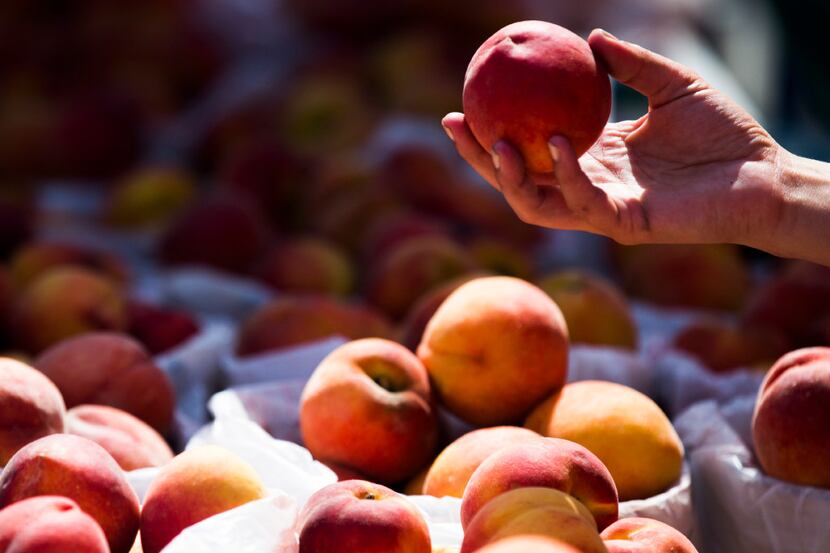 People choose peaches during the Parker County Peach Festival.