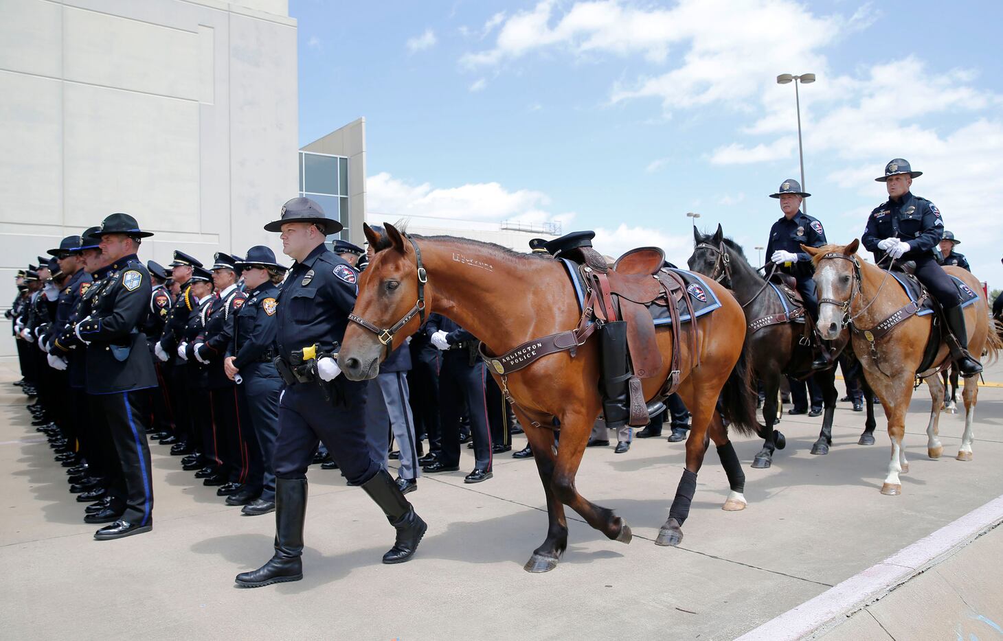 A riderless horse was guided down the street during the memorial service for DART Officer...