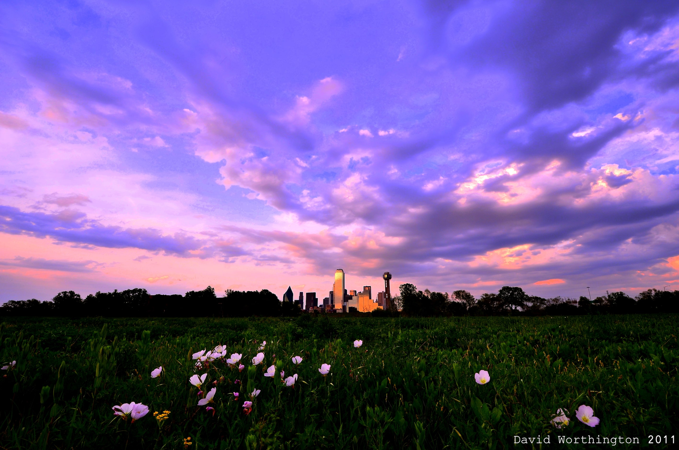 "Buttercup Sunset" by David Worthington shows the Dallas skyline from the Trinity River. 