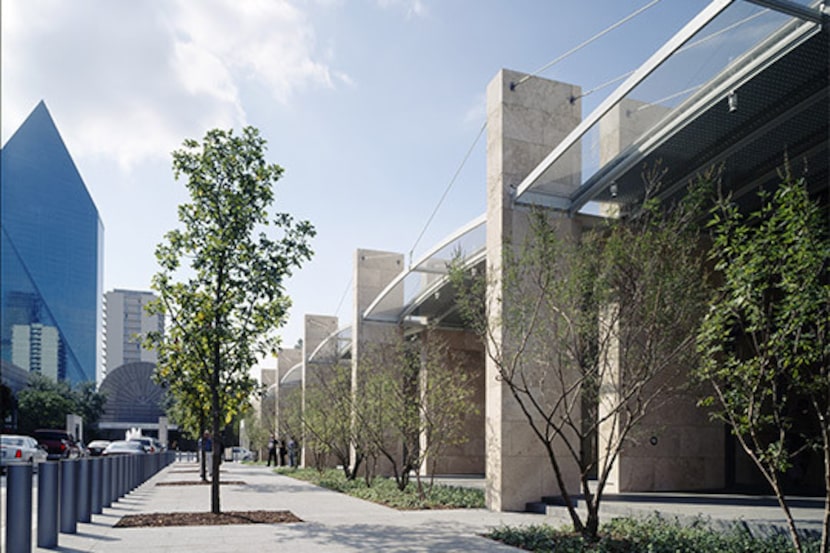 Juvenile magnolias lining Flora Street in front of the Nasher Sculpture Center in 2003.