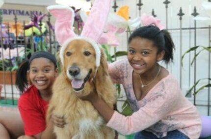  My girls get Barley ready for his photo at Pet Night in the mall. (Photo by Carla Meadows)