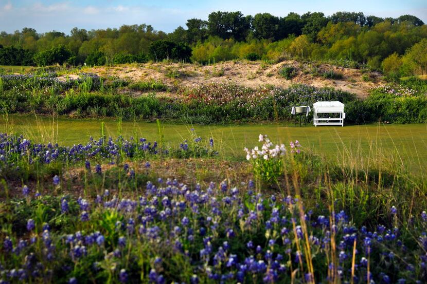Wildflowers populate a sandy mound near the first tee box at the new Trinity Forest Golf...