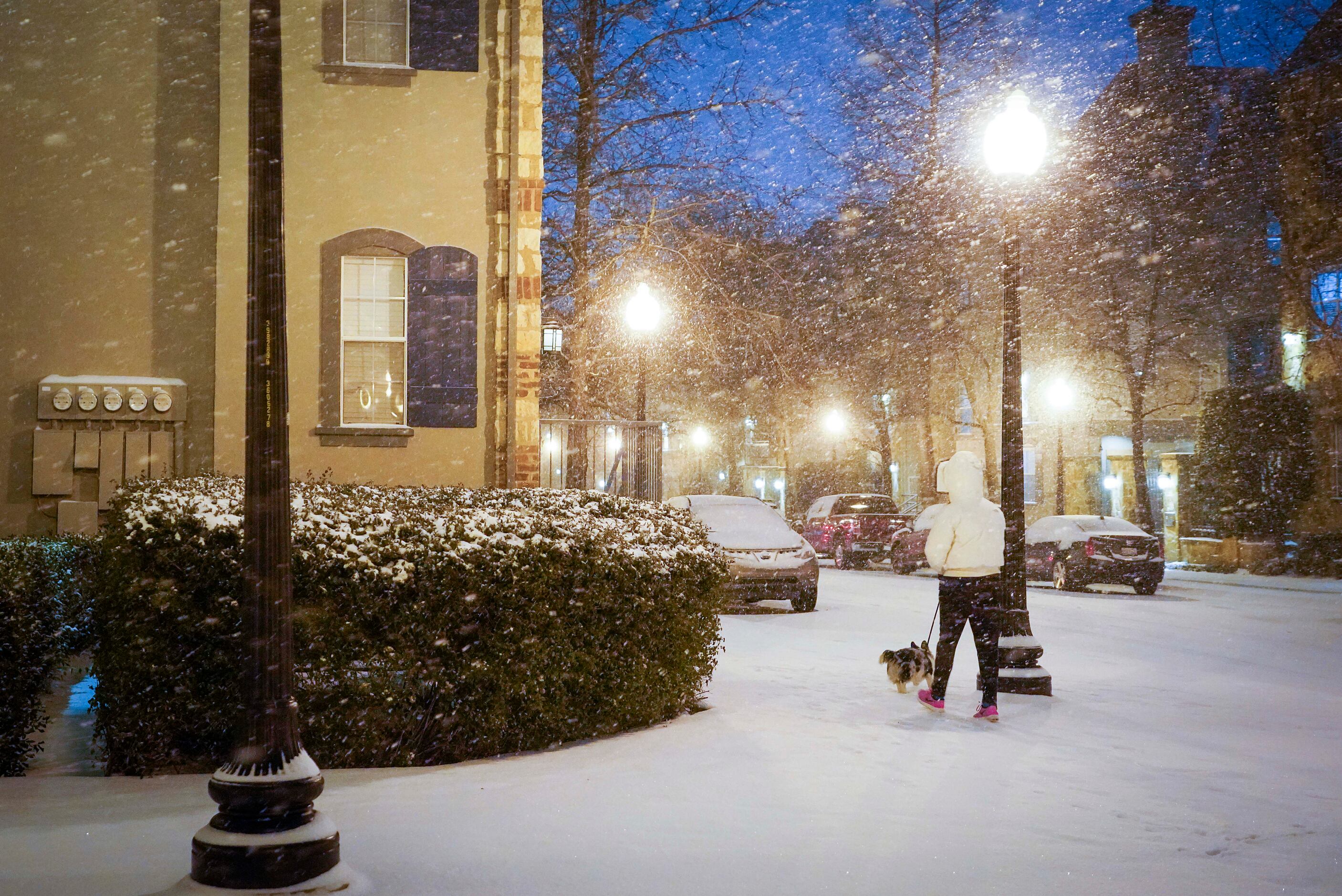 A woman walks a dog on Thomas Avenue near Griggs Park as a winter storm brings snow and...