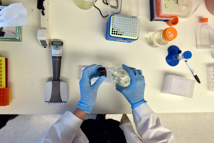 Arielle Woznica, a researcher at UT Southwestern, transfers water she collected from a...