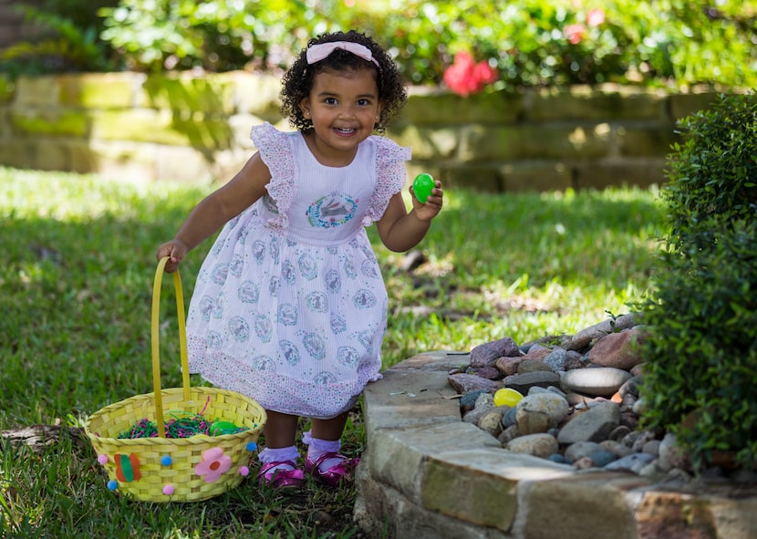 Gracie Mullen, 2, hunts for Easter eggs in her front yard on Sunday in Irving. Her parents...