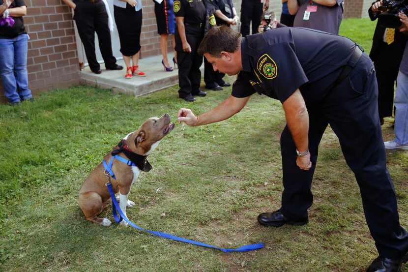 E. Wall, dog liaison officer, works with "Skippy" for demonstration purposes during a press...