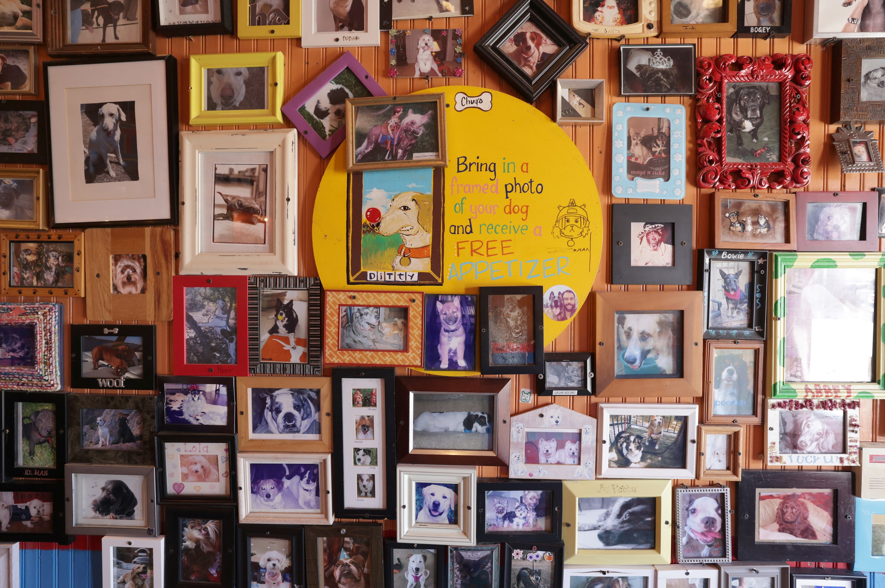 A wall of dog photos at Chuy's in Dallas, TX, on Aug 18, 2024. (photo by Jason Janik/Special...