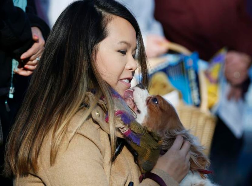 
Nina Pham and her dog, Bentley, both Ebola-free, were reunited Saturday. Next up: Picking...