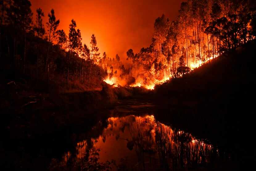 A wildfire is reflected in a stream at Penela, Coimbra, central Portugal, on June 18, 2017.