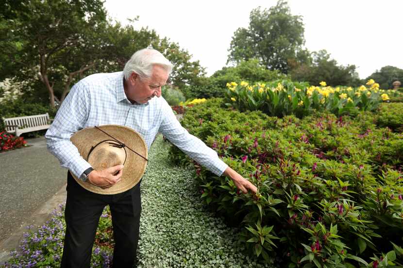 Dave Forehand inspects vegetation at the Dallas Arboretum in Dallas, Texas, on June 23,...