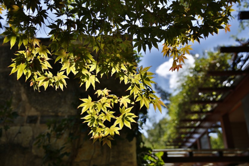 Ted Flato of Lake Flato Architects in San Antonio designed the house. “We don’t draw a line...