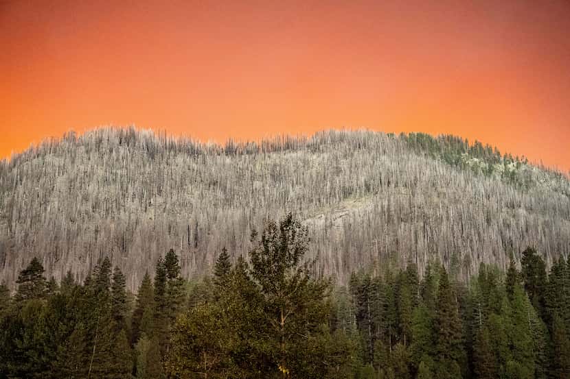 Smoke from the Park Fire casts an orange glow above a hillside burned in a previous wildfire...