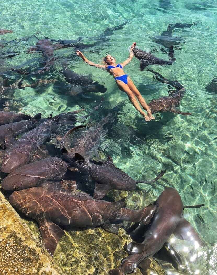 Nineteen-year-old Katarina Zarutskie of Houston was bitten by a nurse shark while on...