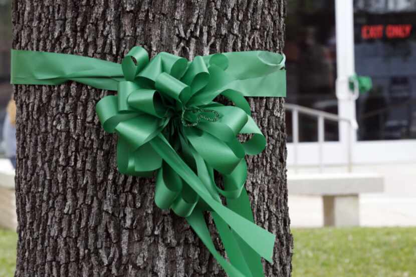 Kaufman County clerks and other county workers tied green ribbons around trees at the county...