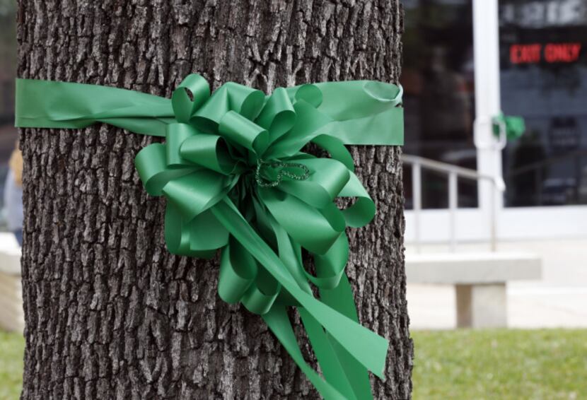 Kaufman County clerks and other county workers tied green ribbons around trees at the county...