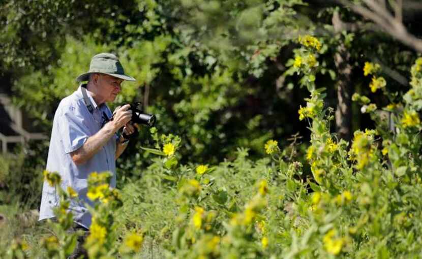 
A visitor takes photos at the Lady Bird Johnson Wildflower Center, which is in full fall...