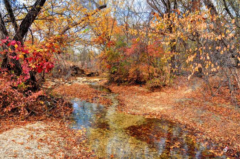 "Hidden Creek" by Peter Roos displays fall foliage at Arbor Hills Nature Preserve.