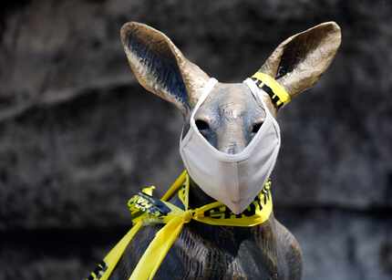 A statue in front of the Lacerte Family Children's Zoo sports a mask and caution tape at the...
