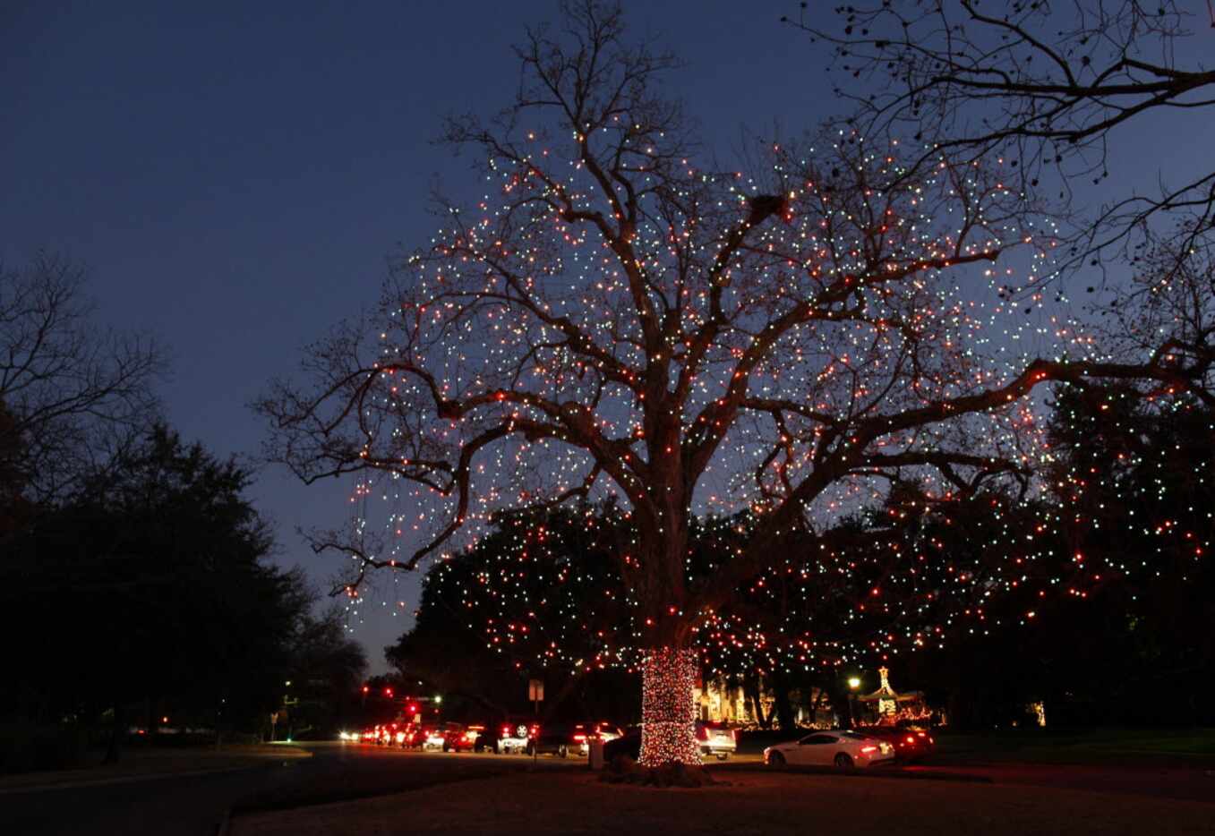 The Big Pecan Tree, shown here in 2013, was in Highland Park before the town existed. At the...