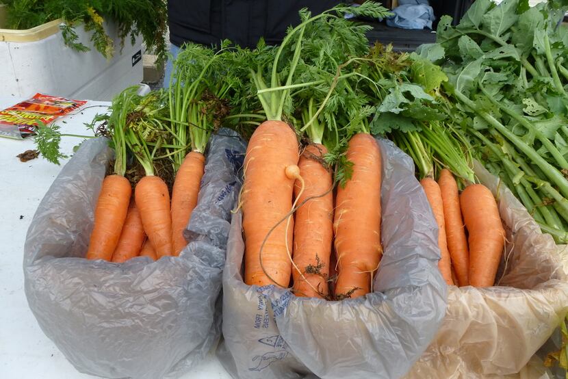 Still Waters Family Farm brought big, fat carrots from Bluff Dale, along with lettuce and...