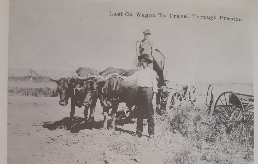 Photographs of the last ox wagon to travel on Preston Road from Adelle Rogers Clark’s...