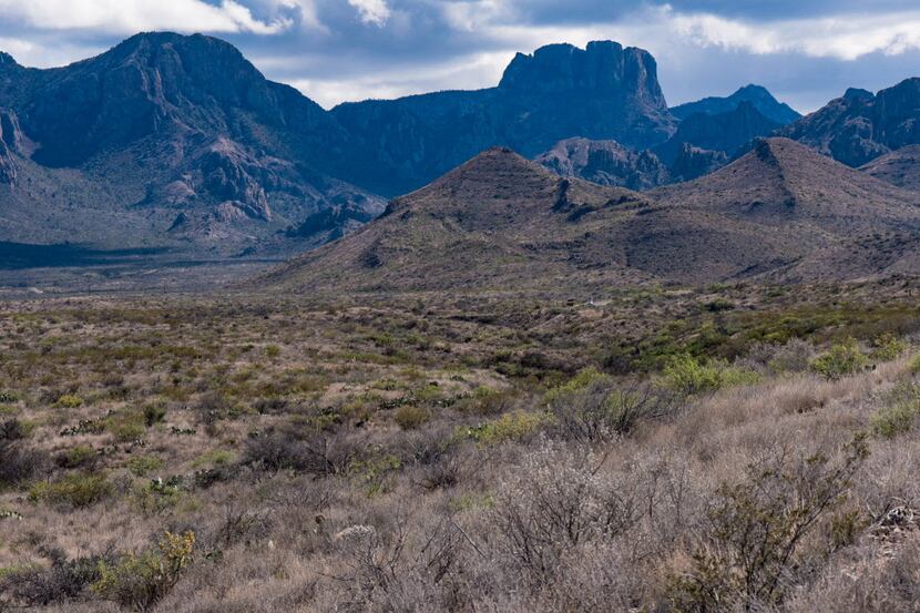 The Chisos Mountains rise from the Chihuahuan Desert floor, Big Bend National Park, Texas. ...