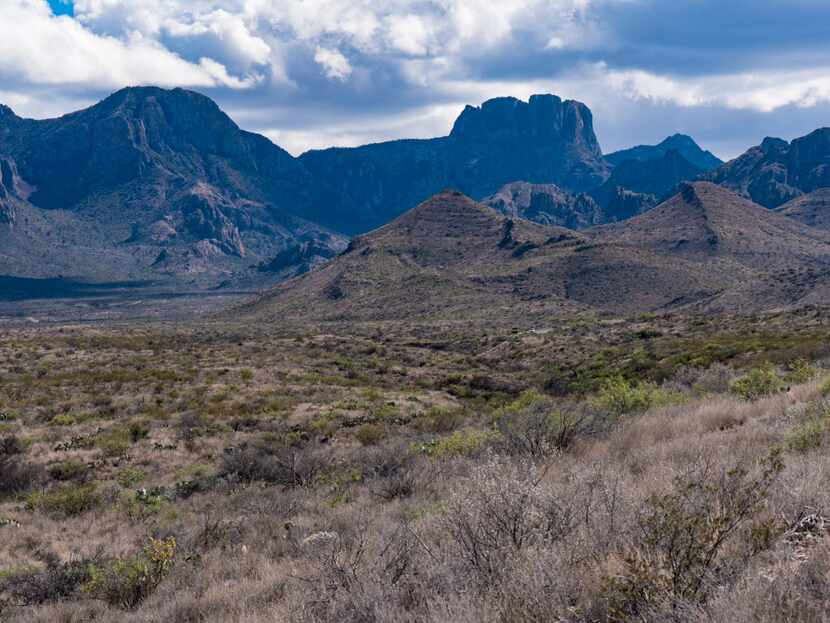 The Chisos Mountains rise from the Chihuahuan Desert floor in Big Bend National Park. 