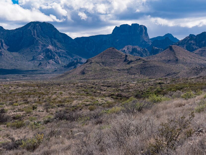 The Chisos Mountains rise from the Chihuahuan Desert floor in Big Bend National Park. 