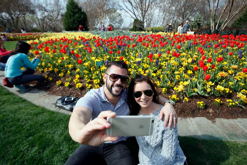 Eric Andrews and Shannon Andrews, of Lewisville, smile for a photo with a bed of tulips...