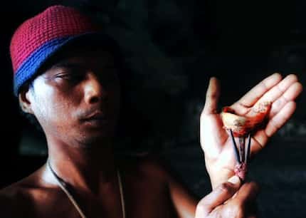 A Thai villager shows a swiftlet's nest harvested from a cave near Phangna Bay. (AP file photo)