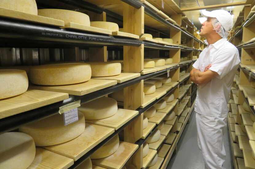 Aaron Langdon, head cheesemaker at Nicasio Valley Cheese Co., checks the aging progress of...