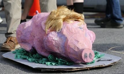 A pig dressed up as Donald Trump on the ground during a protest before the start of the...