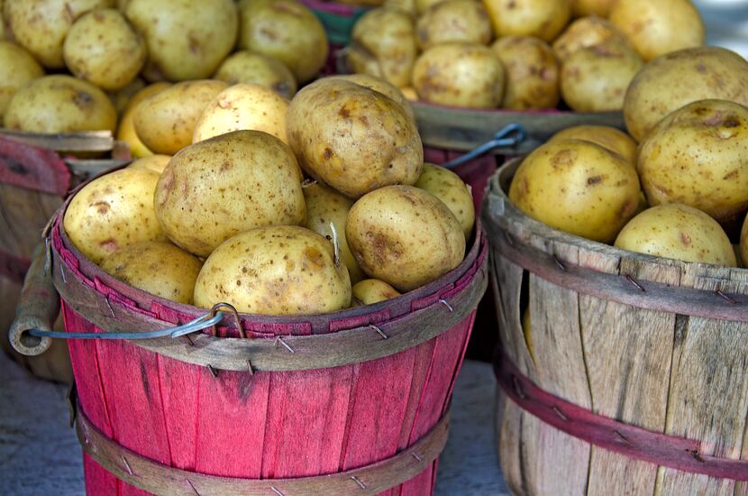 Yukon Gold potatoes in wooden bushel baskets at the farmer's market.