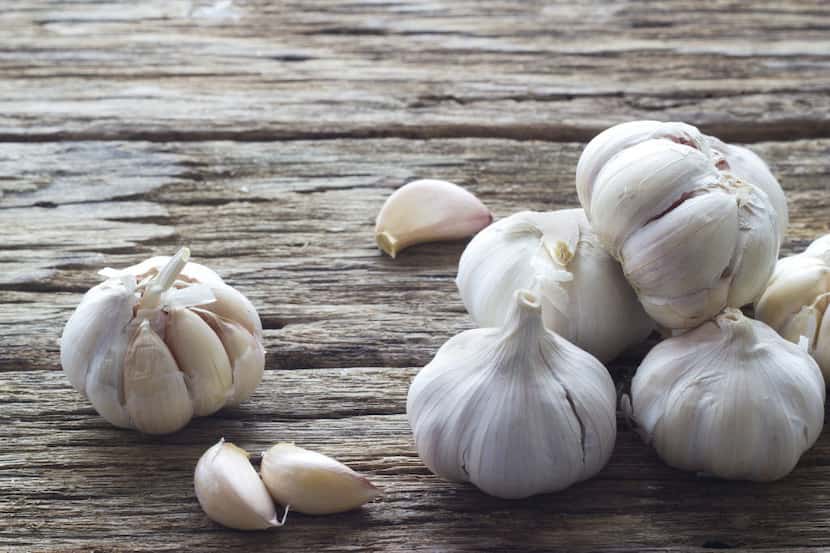 Hardneck garlic