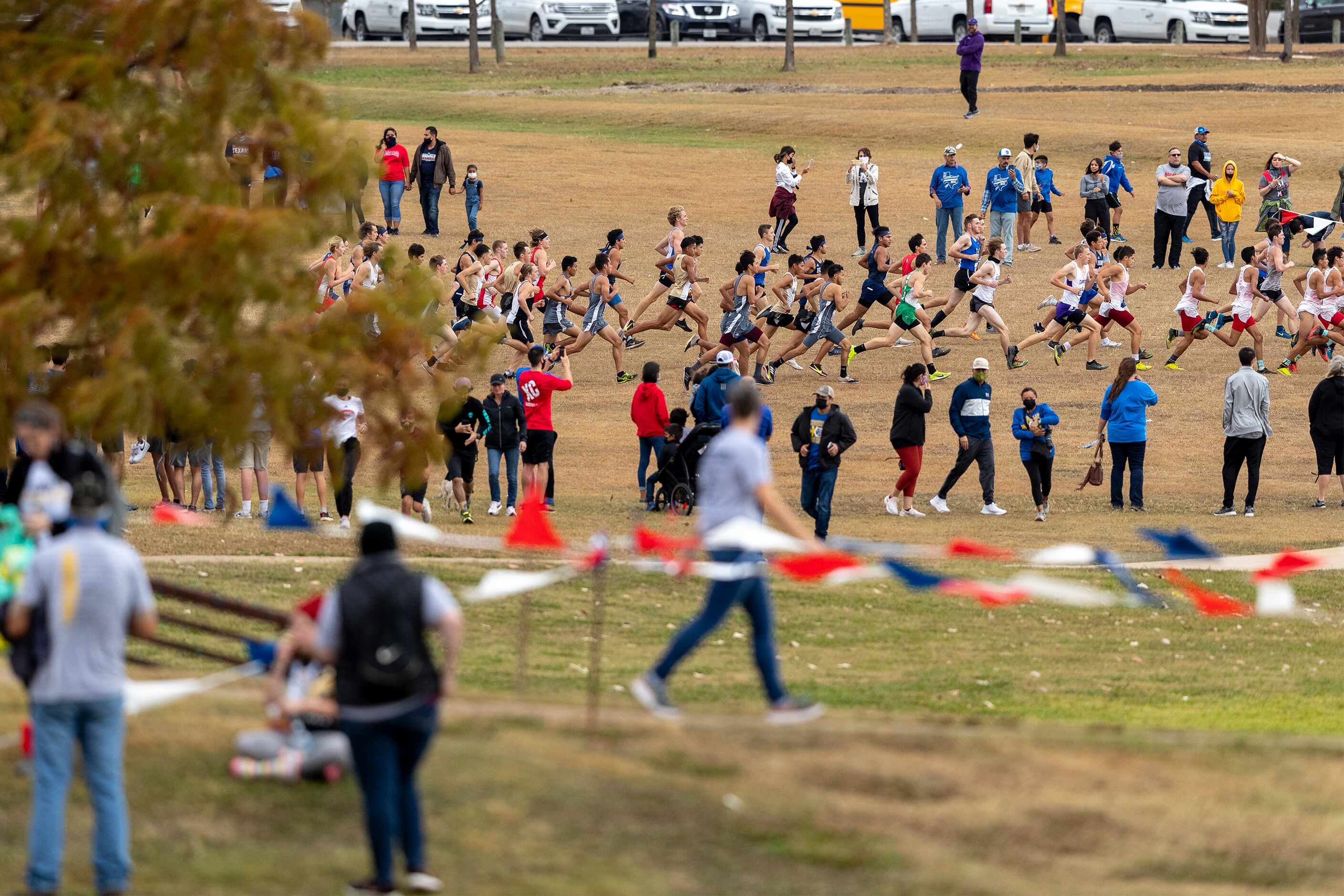 The start of the boys UIL Class 4A state cross country meet in Round Rock, Tuesday, Nov.,...