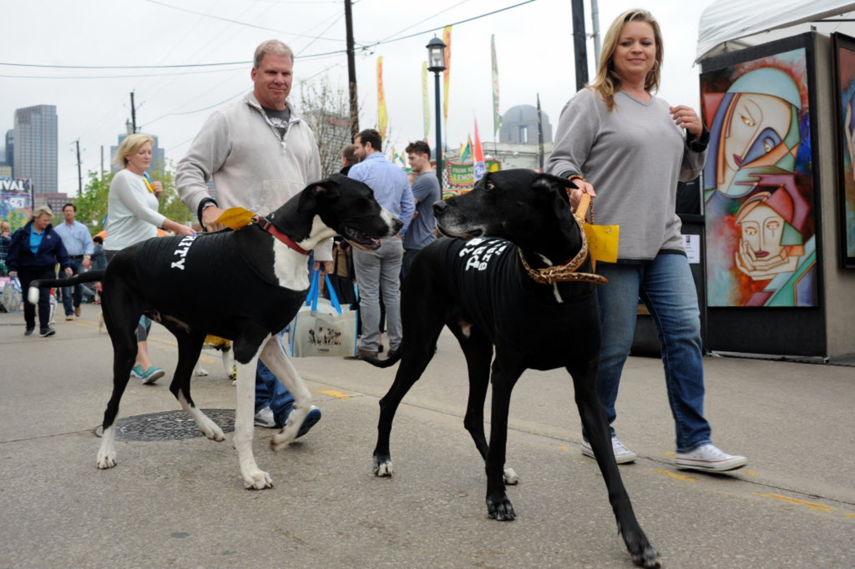 Costumed dogs walk in the annual pet parade at the Deep Ellum Arts Festival.