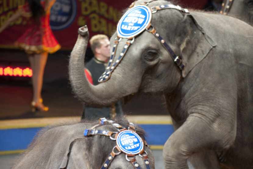 Ringling Bros. and Barnum & Bailey Circus? Dragons comes to American Airlines Center, July...