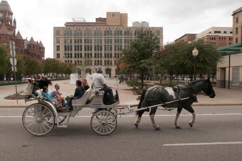 A carriage tour passes by Founders Plaza on Saturday, Nov. 16, 2013.