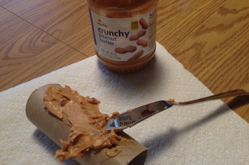 Kids can use a butter knife to spread peanut butter on a cardboard toilet roll. Roll the...