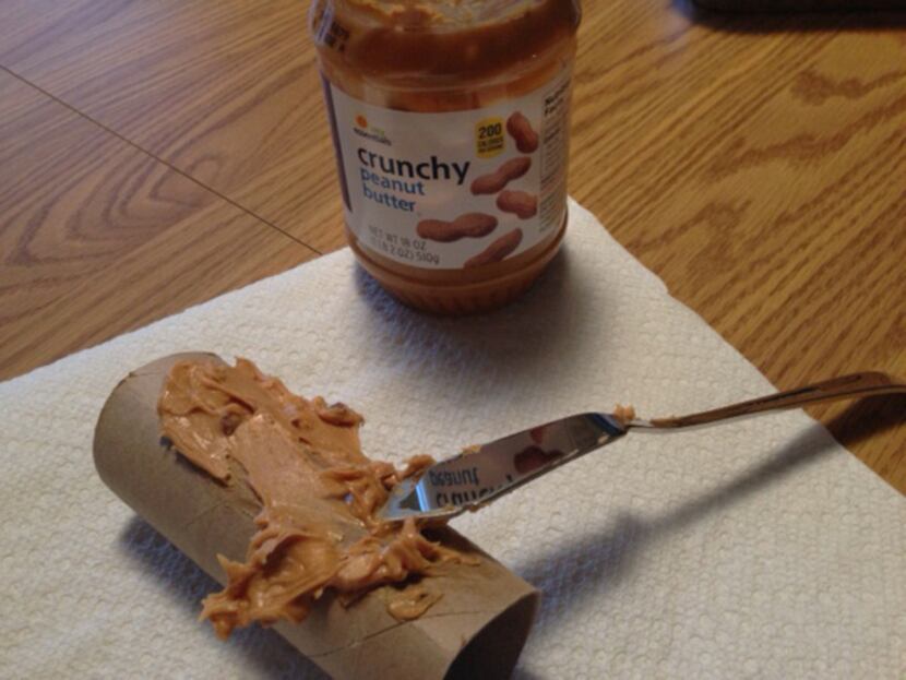 Kids can use a butter knife to spread peanut butter on a cardboard toilet roll. Roll the...