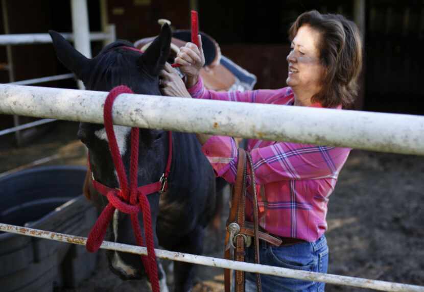 Amber Parker attaches a bridle to her horse, Cherokee, at her home in Ovilla. Riding keeps...