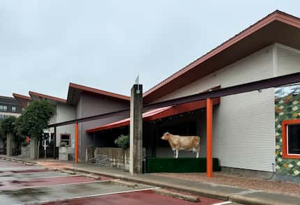 If you see the cow at the Dallas Farmers Market, that's the spot of the future Hurtado...