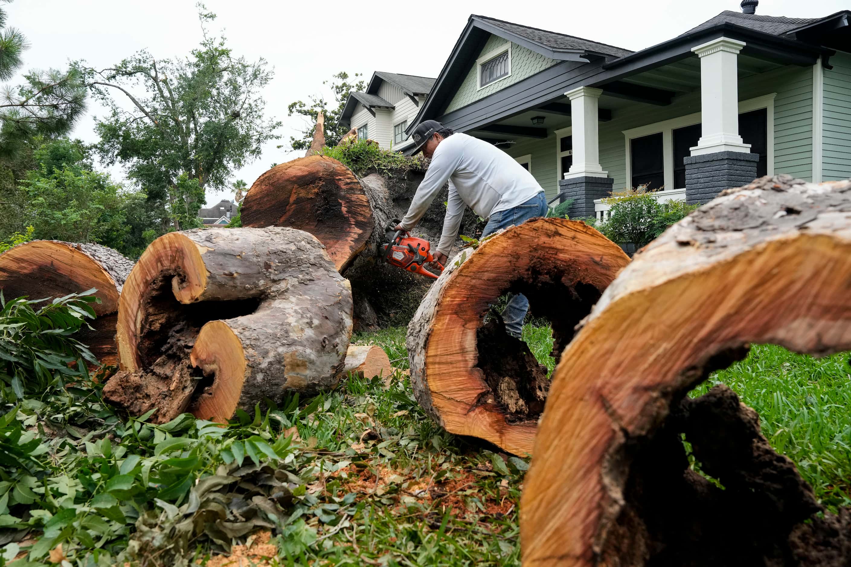 Tree removal serviceman Ricardo Vidal cuts down an uprooted tree on Friday, May 17, 2024 at...