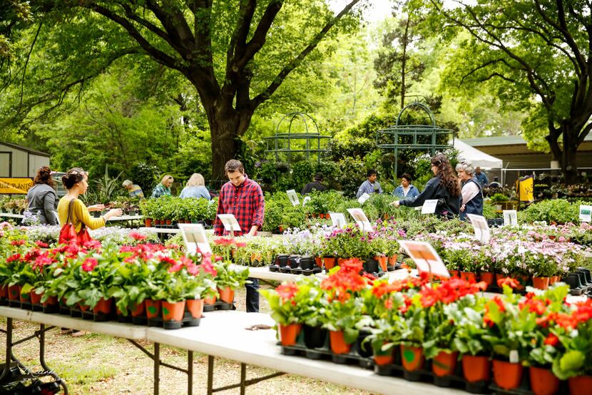 Bring a wagon and celebrate spring during the Fort Worth Botanic Garden spring plant sale...
