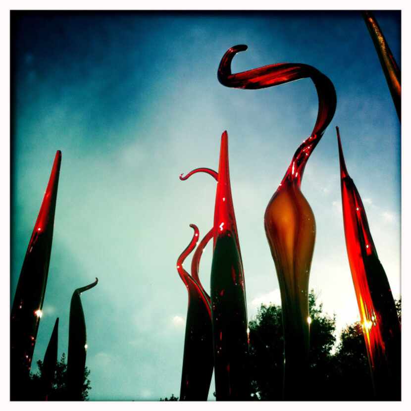 Chihuly's Silvered Red Bamboo and Cattails at the Dallas Arboretum.  Photographed with an...